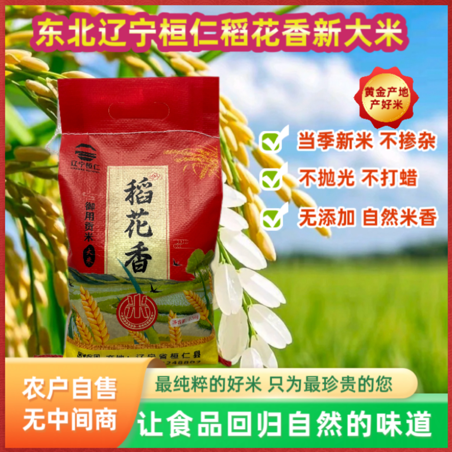 东北辽宁桓仁稻花香2025年新大米