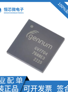 全新原装 GV7704-IBE3 GV7704  封装BGA169  视频监控芯片 现货