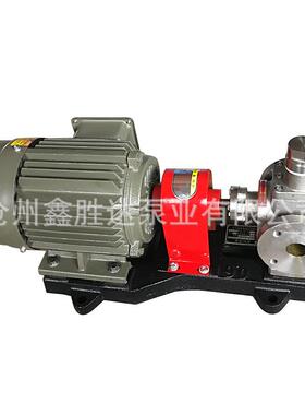 YCB0.6不锈钢齿轮泵厂家现货供应齿轮泵齿轮油泵低噪音齿轮泵