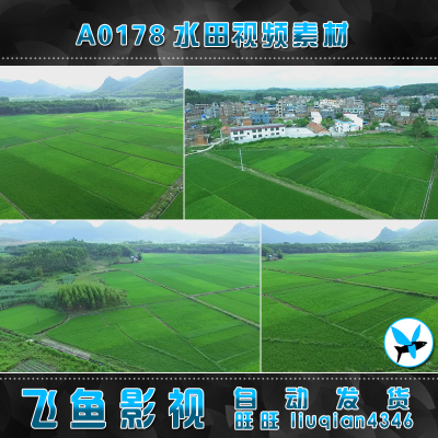 A0178农田田地 庄稼农业 种植业 水稻稻田 农村视频素材