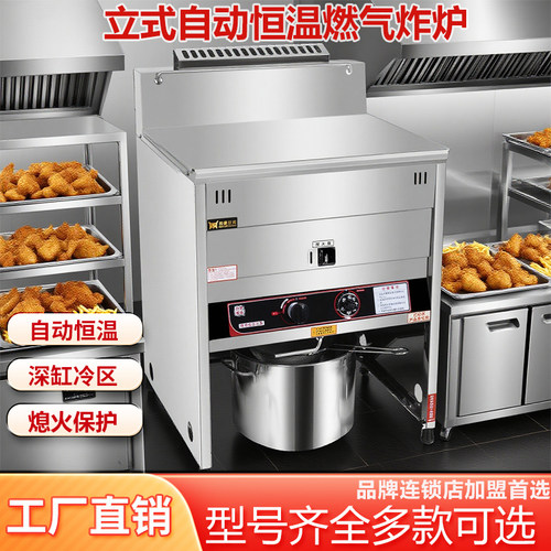 豹鼎商用立式煤气炸炉