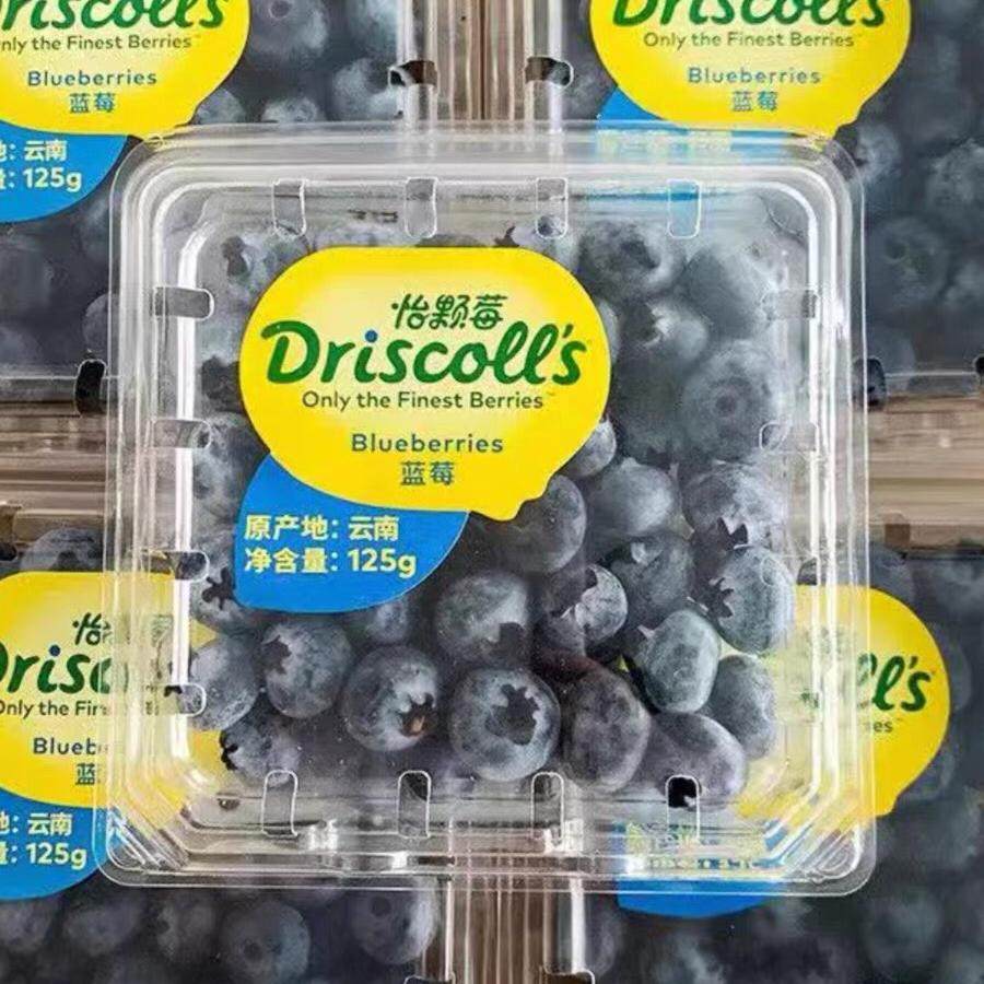 新鲜水果driscoll怡颗莓蓝莓蓝梅云南蓝莓4盒每箱1斤多地顺丰包邮