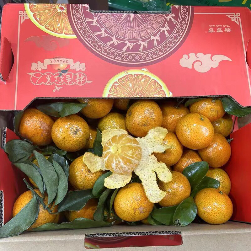 新鲜水果甜弯弯广西砂糖桔沙糖橘纯甜薄皮桔子5斤多地顺丰包邮