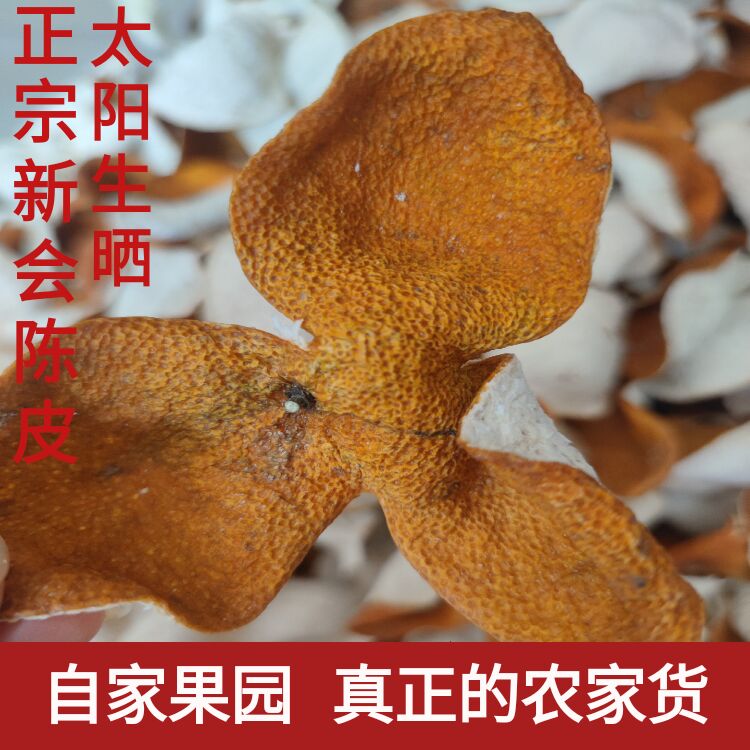 正宗新会2025年大红皮老树圈枝柑2022年陈皮干泡水农家果园
