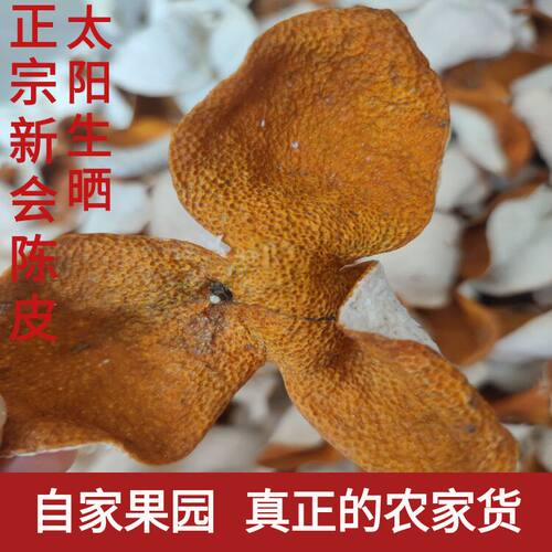 正宗新会2025年大红皮老树圈枝柑2022年陈皮干泡水农家果园