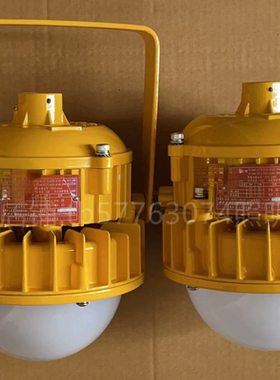 海洋王BPC8767LED防爆平台灯50W支架吊杆灯走廊平台防爆灯