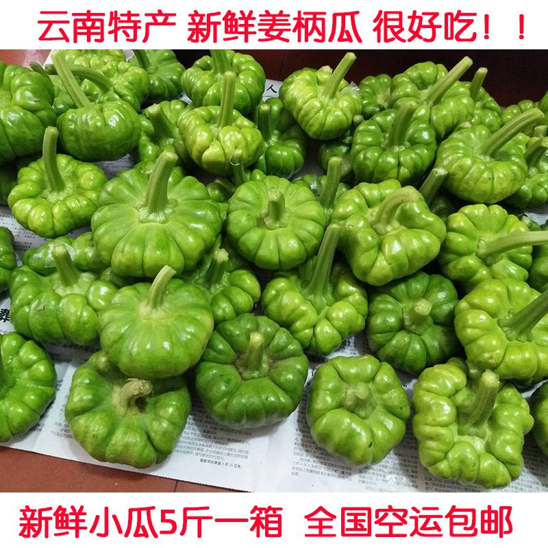 新鲜姜柄瓜小南瓜面瓜小瓜嫩瓜云南特产新鲜蔬菜现摘现发全国包邮