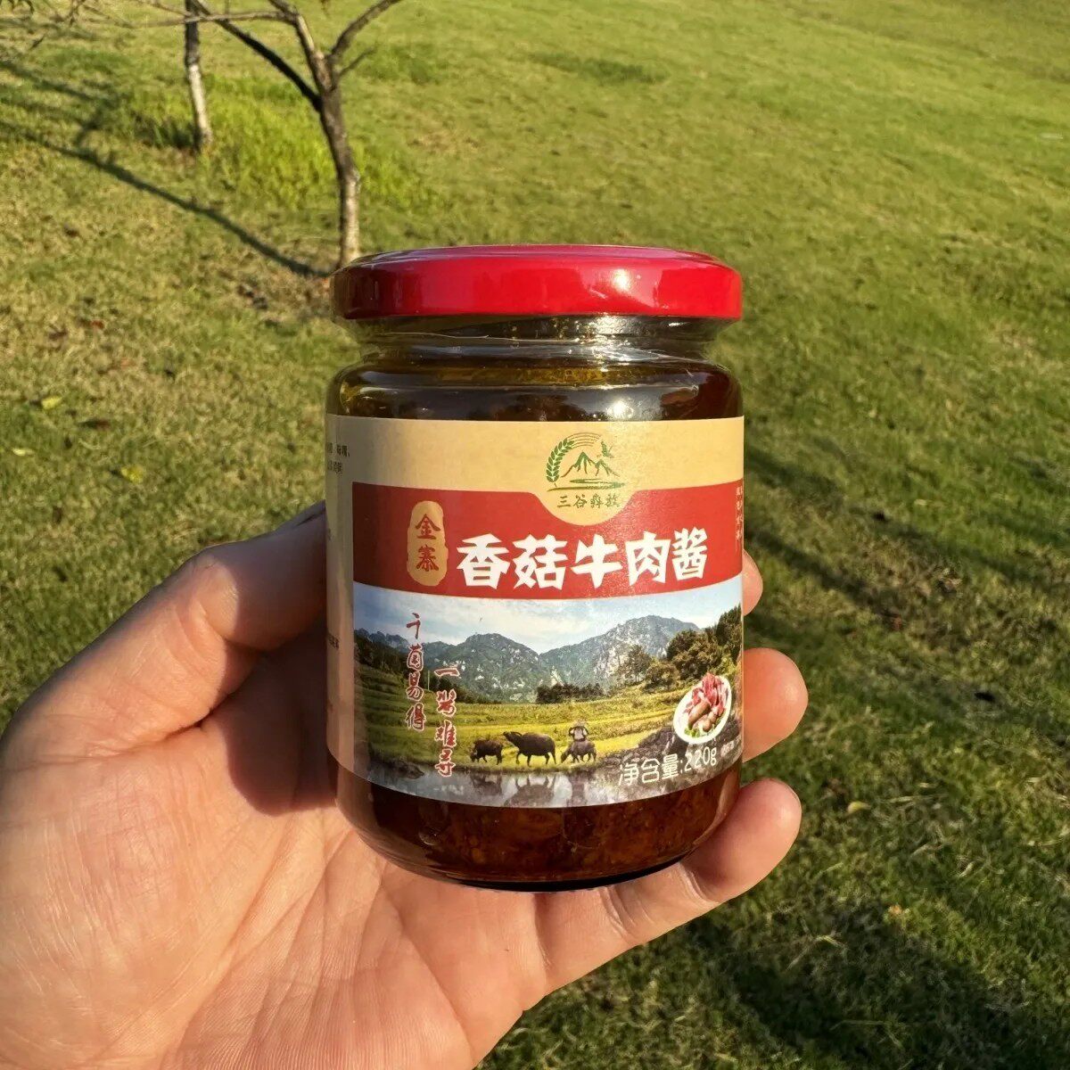 金寨香菇牛肉酱好吃的大别山香菇酱类调料
