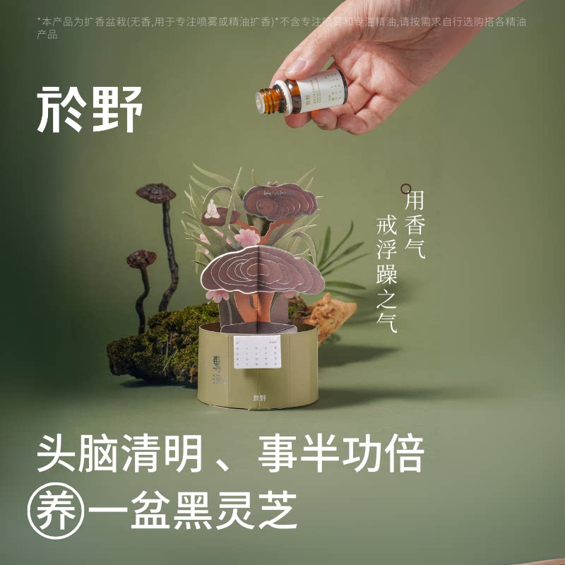 於野黑灵芝扩香盆栽纸艺扩香摆件图片
