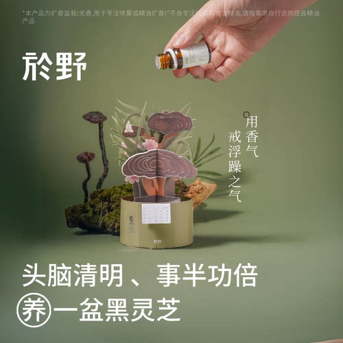 於野黑灵芝扩香盆栽纸艺扩香摆件