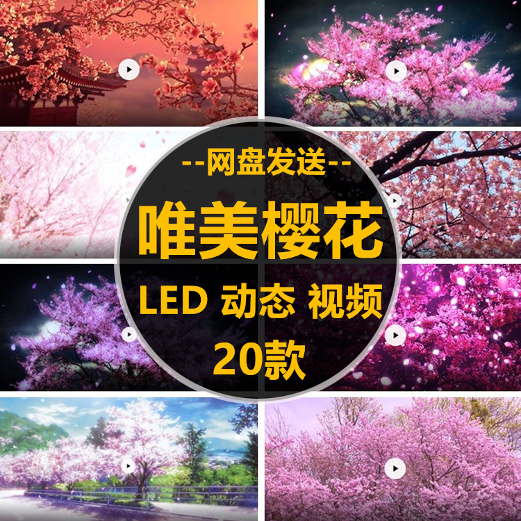 浪漫樱花花瓣飘落樱花树婚礼婚庆样图/效果图销售