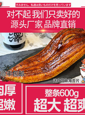 出口级  蒲烧日式烤鳗鱼饭寿司料理整即速食条600g肉厚顺丰包邮