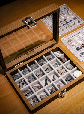 桌面摆件迷你石头宠物收纳盒宝石水晶矿石原料展示盒贝壳微贝摆放