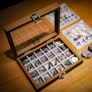 桌面摆件迷你石头宠物收纳盒宝石水晶矿石原料展示盒贝壳微贝摆放