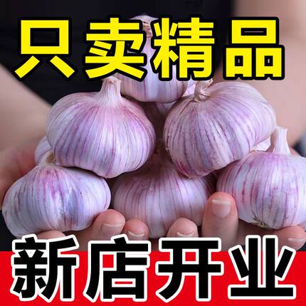 开封杞县紫白皮大蒜头干蒜新鲜蔬菜2026新鲜干蒜头农家自种蒜米