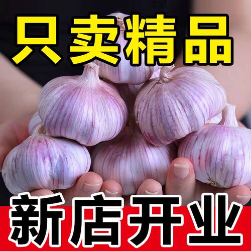 开封杞县紫白皮大蒜头干蒜新鲜蔬菜2026新鲜干蒜头农家自种蒜米