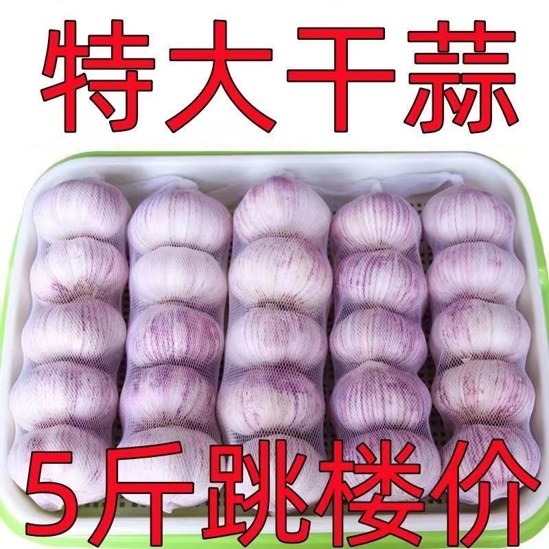2025河南杞县大蒜头农家自种干大蒜5斤新鲜1斤/2斤/3斤干蒜非鲜蒜