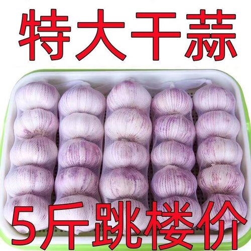 2025新蒜河南杞县农家干大蒜