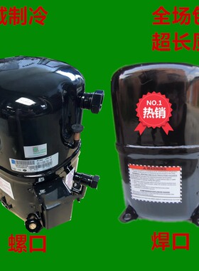 TAG2516Z 全新原装法国进口泰康4匹超低温空调冷库压缩机TAG2516K