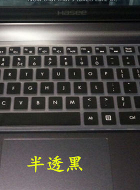 神舟精盾笔记本电脑防灰保护贴膜
