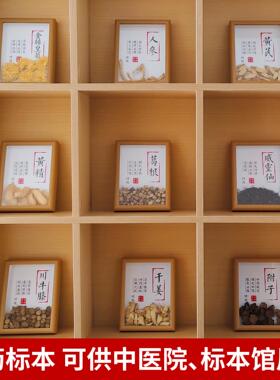 中医文创标本展示材标本装饰画中草药标本相框中医文化墙