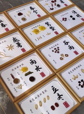 二十四节气中医药标本装饰画24节气茶饮文创展示摆件宣传画传统文