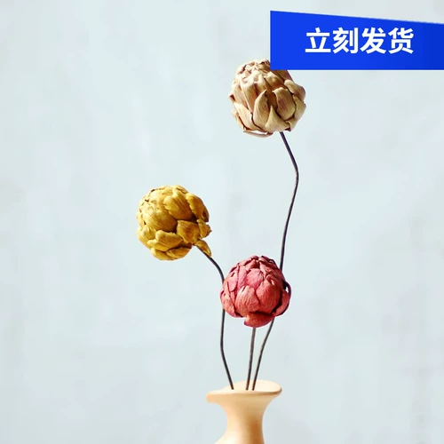 [潮菊枝 天然干花干枝田园家居茶室民宿装饰花纯手工多色艺术干花]
