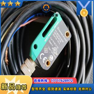 R100 L倍加福 2EP V31 PE议价 OBT300