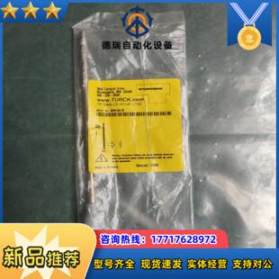 正品 全新原装 TURCK图尔克 H11议价 206A