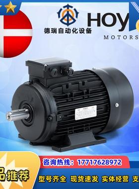 HＯYER电机丹麦霍尔三相异步电动机工业船用HMA2议价