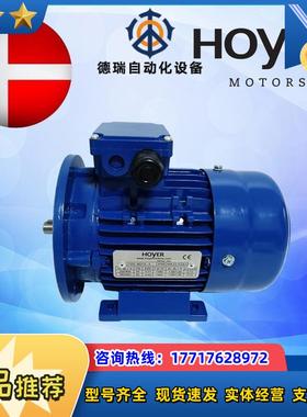 霍尔HOYER电机MS5624 7124 8024 90L4议价