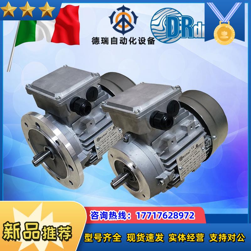 原装意大利DRIVES电机 DRDRIVES刹车电机TS90议价