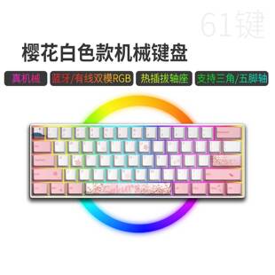 办公IPAD笔记本MAC有线 C61键机械键盘蓝牙RGB无线PBT热升华便携式