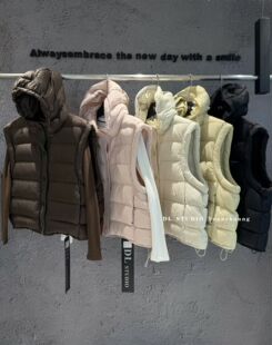 欧洲站2026冬季新款韩版显瘦连帽拉链国标羽绒服马甲女上衣潮