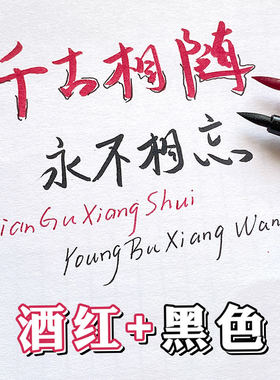 点石brush双头马克笔做笔记红笔勾线手账软头笔艺术字毛刷ins彩笔