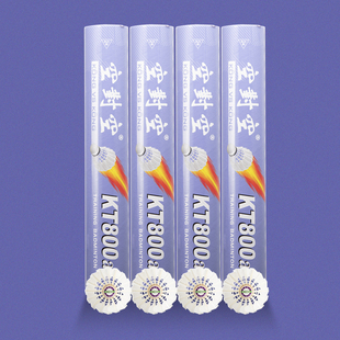 空对空羽毛球kt800a运动球羽毛耐打飞行稳鸭毛室内室外训练12只装