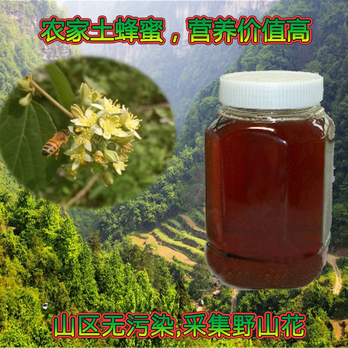 甘肃高纯党参花土蜂蜜野蜂采野百花中蜂天然森林滋补年货500g包邮