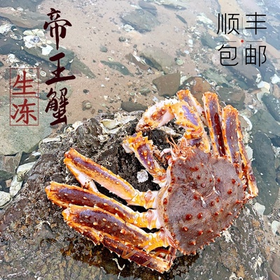 活冻帝王蟹鲜活鲜冻长脚蟹