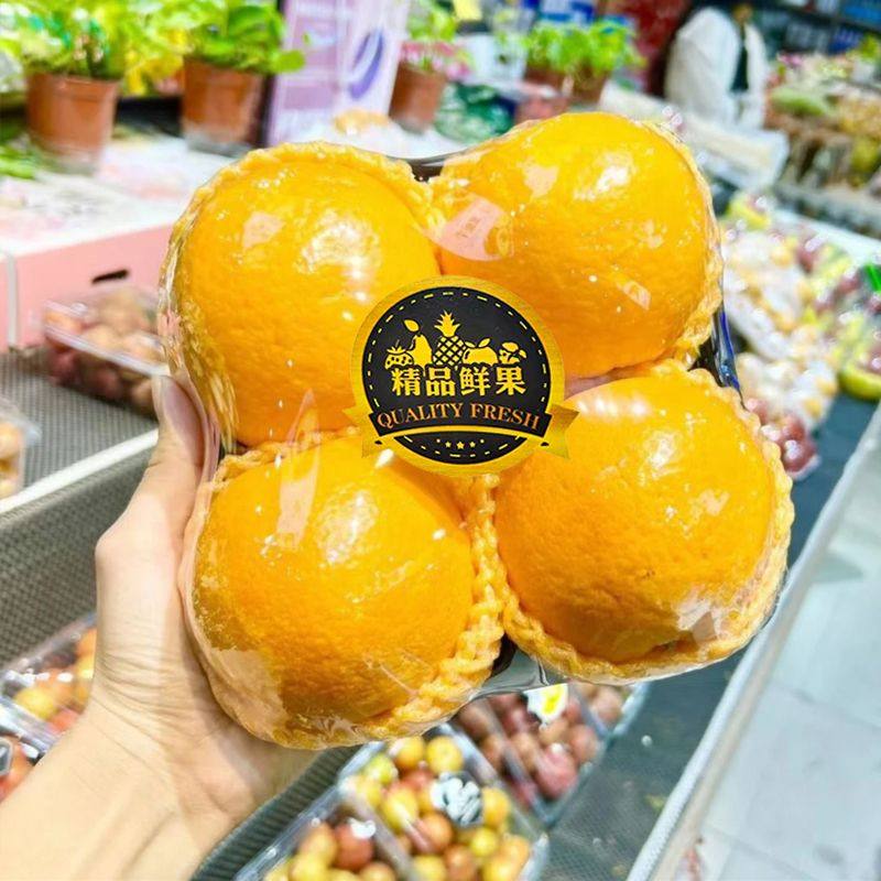 不干胶标签贴纸烫金款精品水果包装通用一次性水果贴商用果切盒贴,文具电教/文化用品/商务用品,不干胶标签,淘宝优惠券,粉丝福利购,淘宝优惠卷