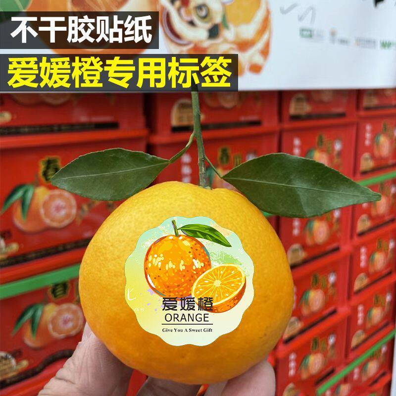 爱媛38号果冻橙标签贴纸赣南脐橙眉山橙子柑橘一次性水果不干胶