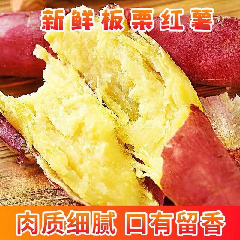 陕西临潼北田沙土地板栗红薯9斤5斤新鲜现挖番薯烤地瓜干面甜红苕