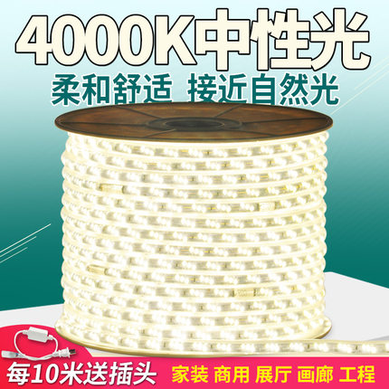 超亮2835双排4000K工程客厅自然中性光灯带白富美led灯条防水220v