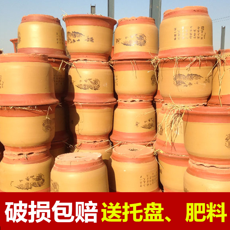 花盆陶瓷盆景盆蘭花盆特價紫砂特大號帶托盤包郵粗砂盆栽盆大花盆