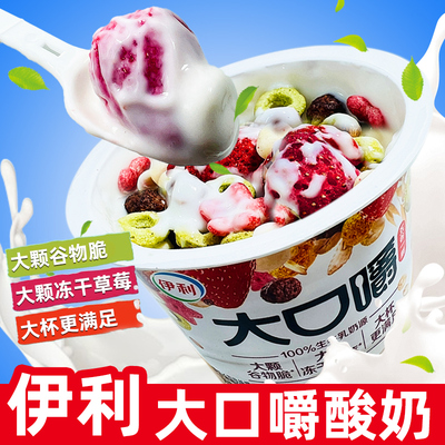 伊利谷物脆发酵乳大口嚼酸奶酸奶