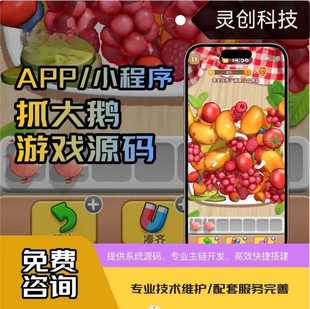 抓大鹅游戏小程序开发消除类游戏定制对接广告流量主成品源码搭建