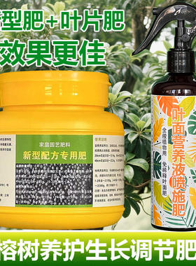 榕树专用肥料盆景大树苗土壤营养液叶面肥叶面肥肥浓缩水溶化肥料