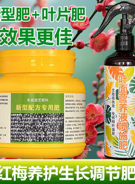 红梅专用肥料养殖小盆栽花苗土壤花肥营养液叶面肥氮磷钾有机肥料