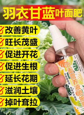 羽衣甘蓝专用肥料养殖盆栽种植土壤养护肥营养液叶面肥水溶化肥料