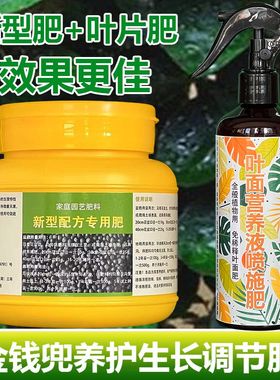 金钱兜专用肥料盆栽老桩室内植物营养液钱多多圆叶福禄桐花卉肥料