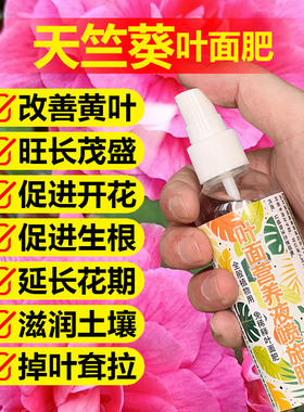 天竺葵专用肥料盆栽叶面肥营养液长花苞开花肥长新芽长新叶面肥料